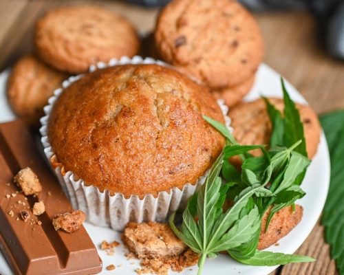 CBD en cuisine : recettes faciles et conseils pour bien l'intégrer