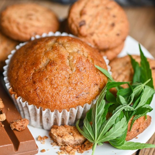 CBD en cuisine : recettes faciles et conseils pour bien l'intégrer