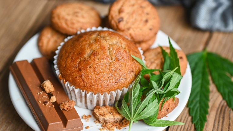 CBD en cuisine : recettes faciles et conseils pour bien l'intégrer